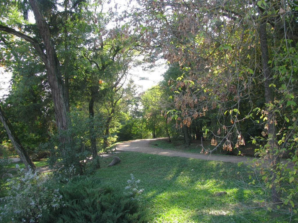 E-Stay Noclegi W Bydgoszczy Esterno foto